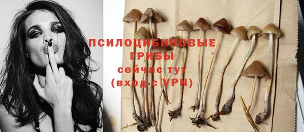 гашик Приозерск