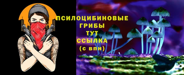 не бодяженный Горно-Алтайск