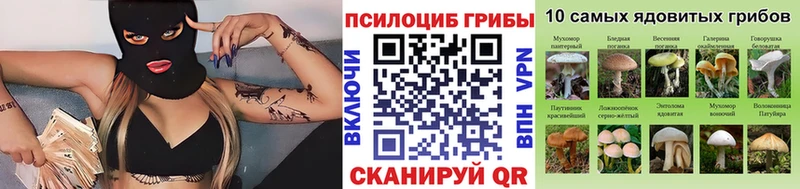 Псилоцибиновые грибы Cubensis  закладка  Каргополь 